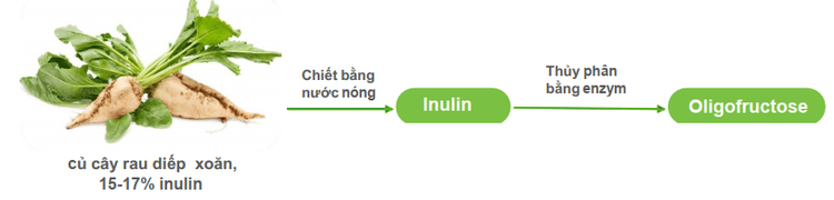 
Orafti Synergy 1 giúp cải thiện tình trạng táo bón theo cơ chế hút nước làm mềm phân
