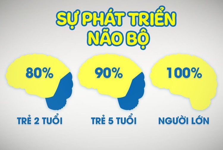 
Cần bổ sung Omega thực vật càng sớm càng tốt vì 80% não bộ của trẻ phát triển trước 2 tuổi
