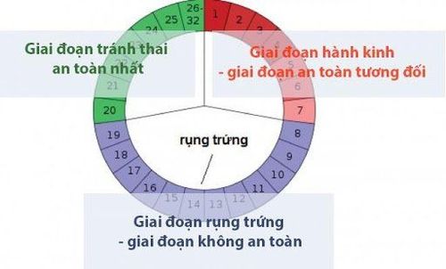 
Tránh thai bằng cách tính ngày rụng trứng
