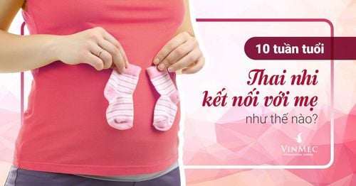 Vì sao mẹ nên sàng lọc trước sinh NIPT ngay từ tuần thứ 10?