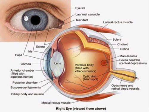Can glaucoma, glaucoma be operated?