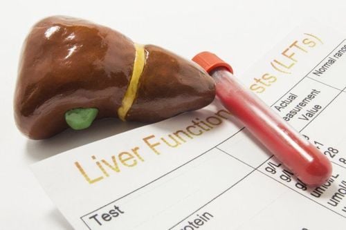 Why is elevated liver enzymes a sign of cirrhosis or liver cancer?