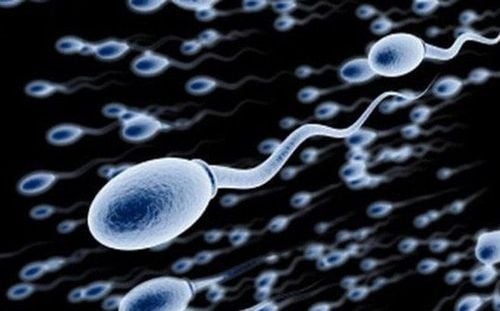 11 things about sperm that people often believe are true but are actually completely wrong