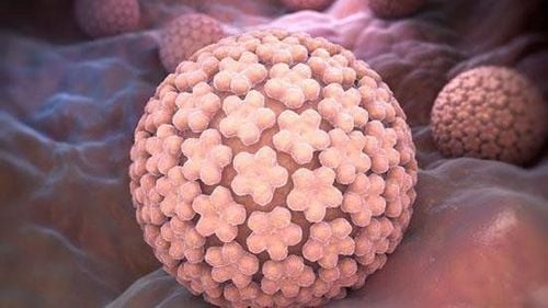 
Human Papillomavirus (HPV) là nguyên nhân hàng đầu gây ung thư cổ tử cung.
