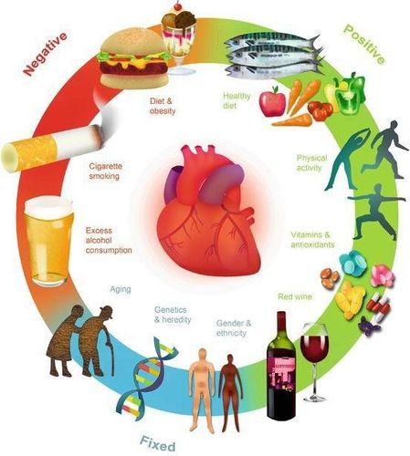 Top 11 cardiovascular disease risks you may not know