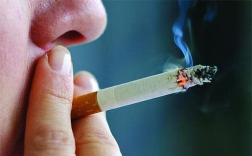 
Nicotine trong thuốc lá là chất độc phá hủy hệ tiêu hóa
