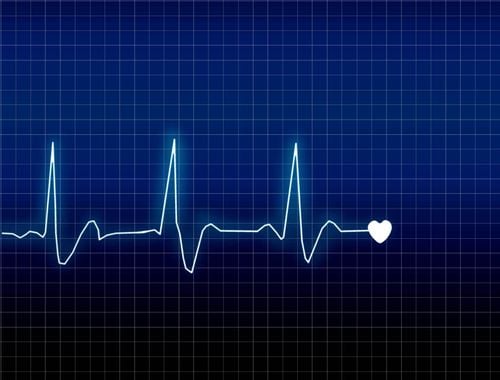 What is the normal human heart rate?