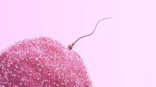 Common myths about sperm