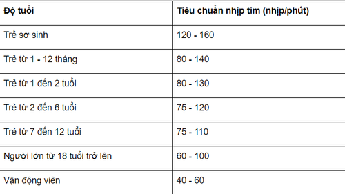 Nhịp tim 80/phút và sức khỏe tim mạch