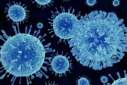 What is viral fever and how is it transmitted?