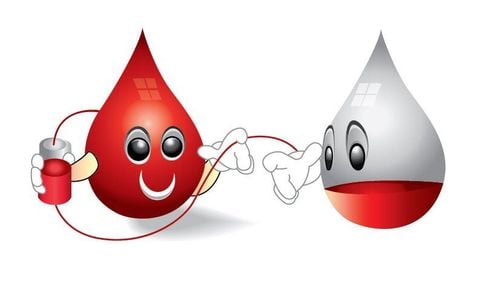 What are the components of blood, what is the normal amount of blood in the human body?