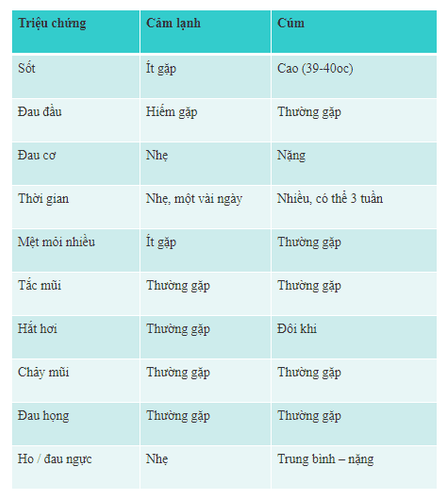 
Phân biệt triệu chứng cảm cúm và cảm lạnh
