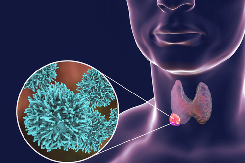 TSH hormone and its significance in the screening diagnosis of thyroid diseases