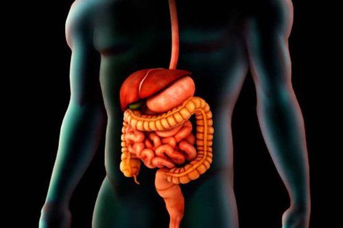 What does the human digestive system consist of - see images of digestion in each part