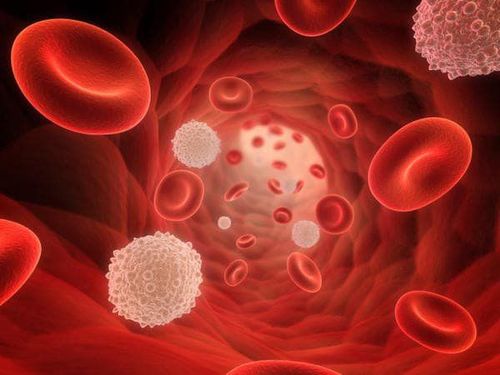 Why do white blood cells decrease in cancer patients undergoing chemotherapy?