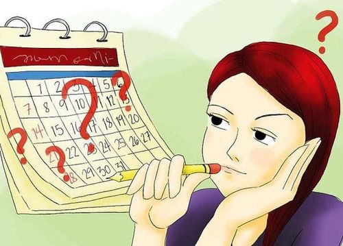 How is the menstrual cycle calculated?