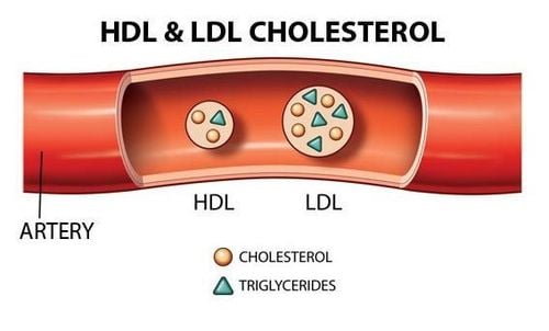 
Triglycerid
