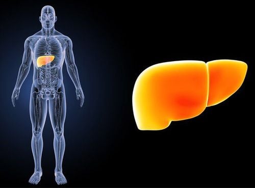 What is grade 1 fatty liver? How to detect and treat the disease early to recover quickly