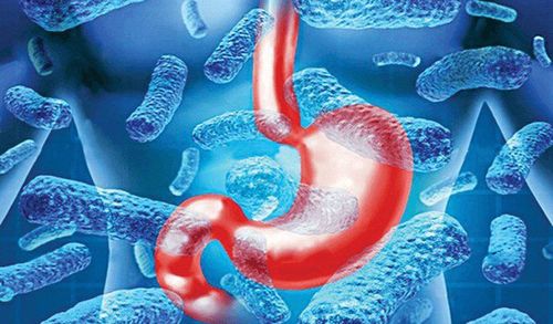 What is Helicobacter pylori? By which way?