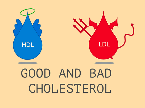 
Cholesterol có 2 loại chính: LDL - Cholesterol “xấu” và HDL- Cholesterol “tốt