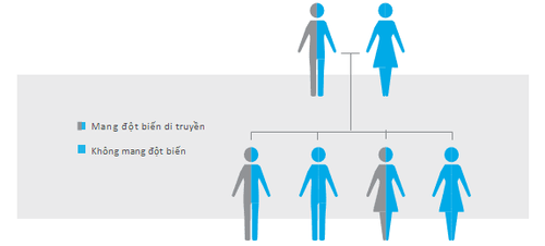 
Khả năng di truyền gen đột biến cho đời con
