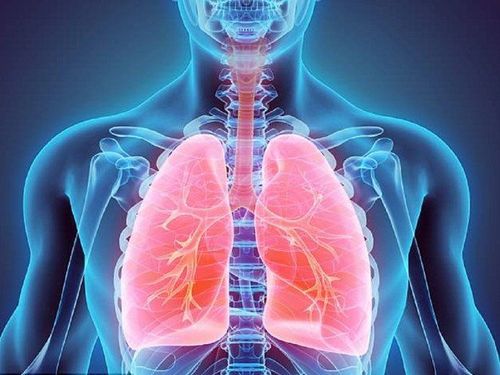 What is lobar pneumonia? How to recognize and avoid