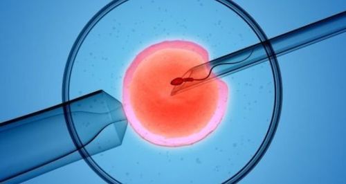 
Phụ nữ có nguy cơ mang đa thai với kỹ thuật IVF
