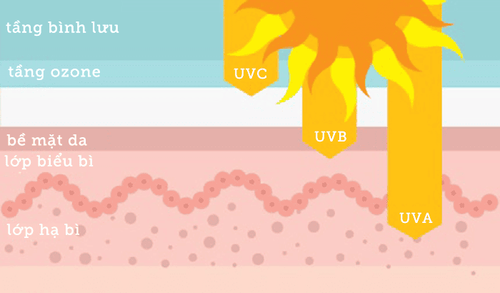 
Có 3 loại tia UV là UVA, UVB và UVC
