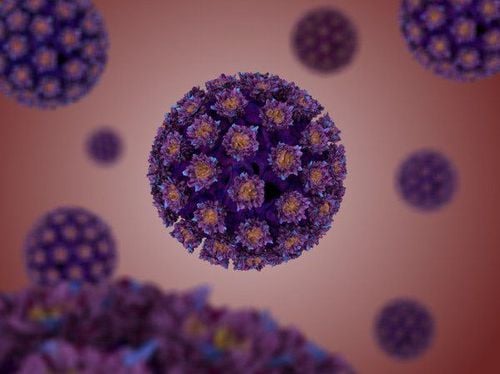 
Virus HPV gây ra ung thư cổ tử cung
