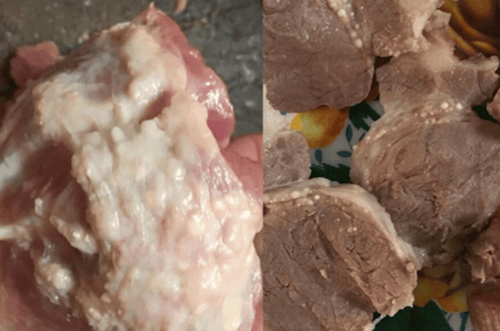 Is it okay to eat cooked pork contaminated with tapeworms?