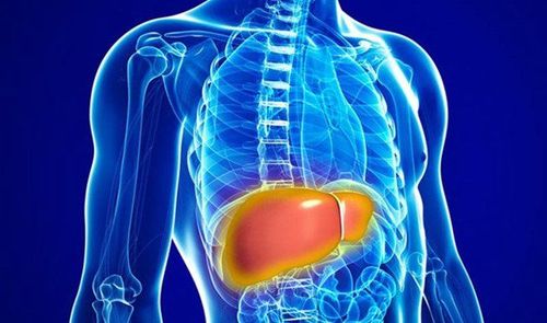 Fatty liver: What to avoid?