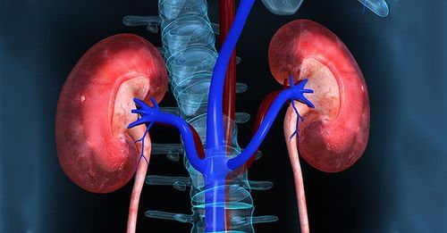 How is acute kidney failure diagnosed and treated?