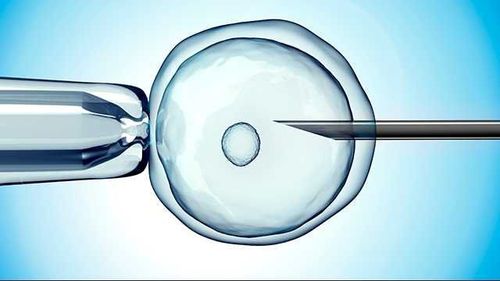 
Sử dụng kỹ thuật đông phôi trong quá trình thực hiện IVF
