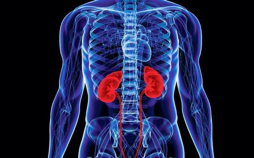 Progression and complications of chronic kidney disease