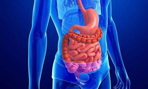 Visual images of the digestive system