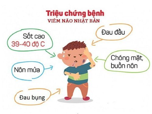 
Triệu chứng của Viêm não Nhật Bản
