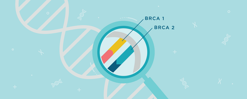 Gen BRCA ở nam và nữ có vai trò gì?