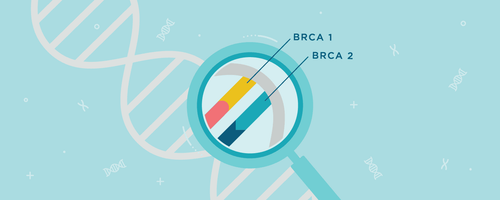 What is the role of the BRCA gene in men and women?