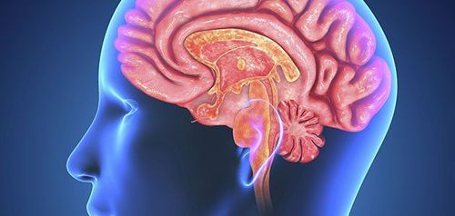 
Vitamin B6 có thể làm giảm nguy cơ mắc bệnh Alzheimer
