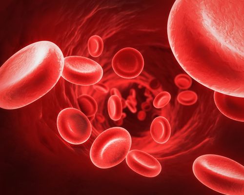 How many red blood cells in the body?