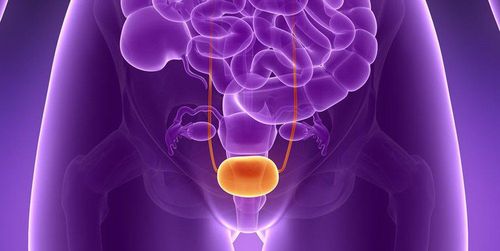 Understanding bladder cancer treatments