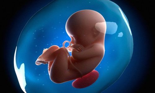 What is the average amniotic fluid?