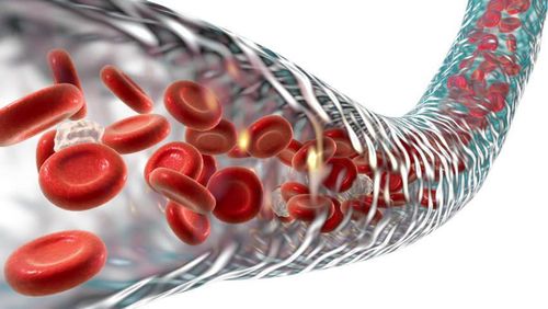 How long do red blood cells live before they die?