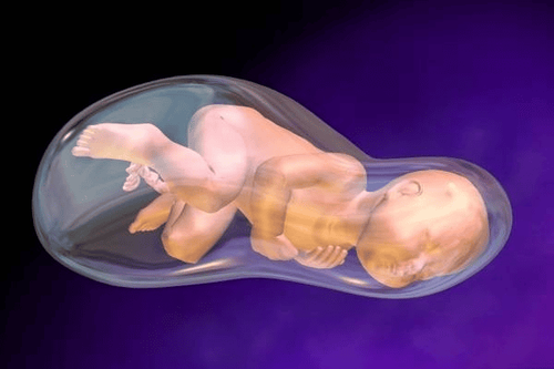 When does amniotic fluid appear after conception? How is amniotic fluid made?