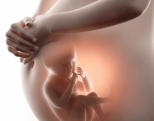 
Amniotic fluid protects the fetus from bacterial invasion and avoids trauma
