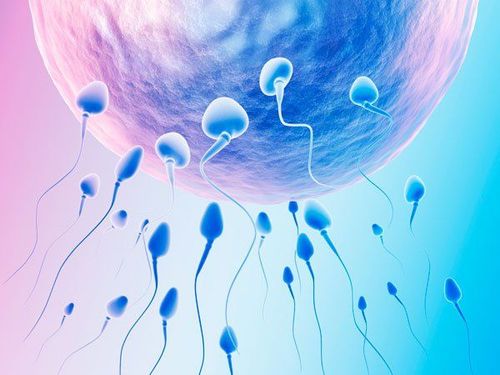 Everything you need to know about intrauterine insemination (IUI) irrigation