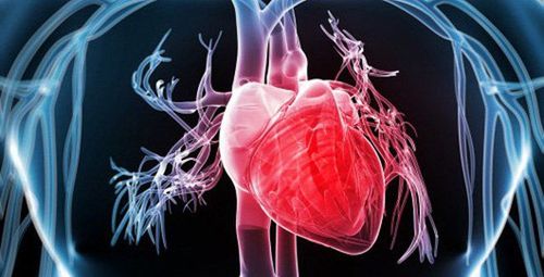 What is a transthoracic echocardiogram?