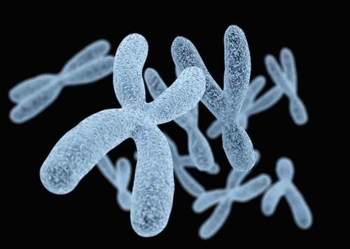 Loss of chromosome 4q