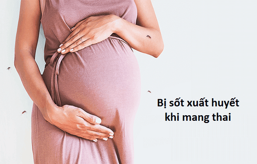 Pregnant with dengue fever, what to do?