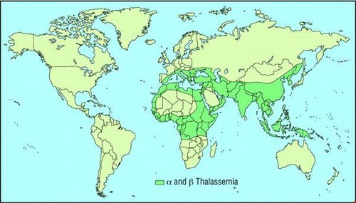 
Biểu đồ dịch tễ bệnh Thalassemia: Việt Nam nằm trong vùng có nguy cơ cao mắc bệnh
